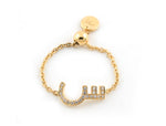 تحميل الصورة في عارض المعرض, Adjustable Initial Chain Ring - HIBA JABER