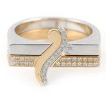 عرض الصورة في المعرض، Thick Duo Rings - HIBA JABER