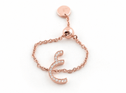 Adjustable Initial Chain Ring - HIBA JABER