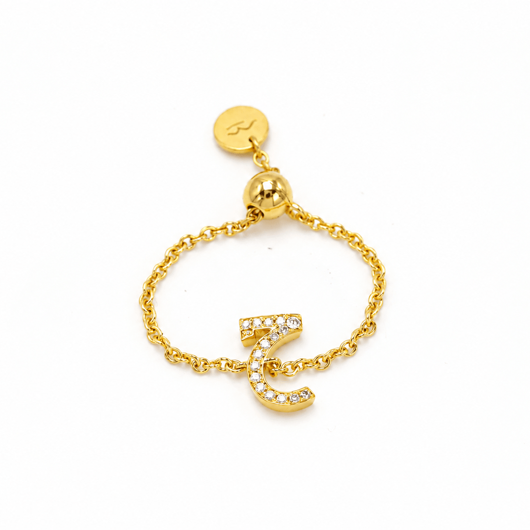 Adjustable Initial Chain Ring - HIBA JABER