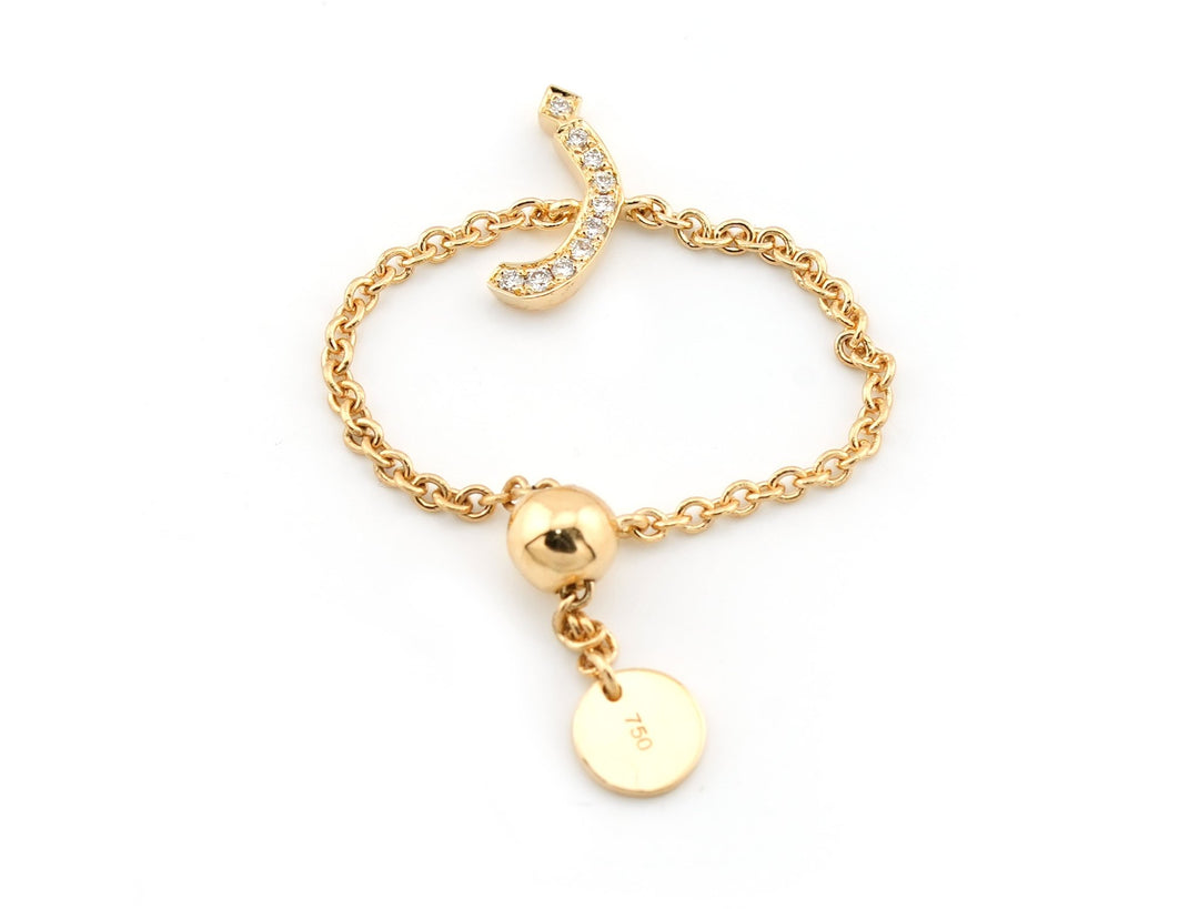 Adjustable Initial Chain Ring - HIBA JABER