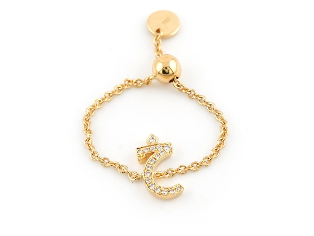Adjustable Initial Chain Ring - HIBA JABER