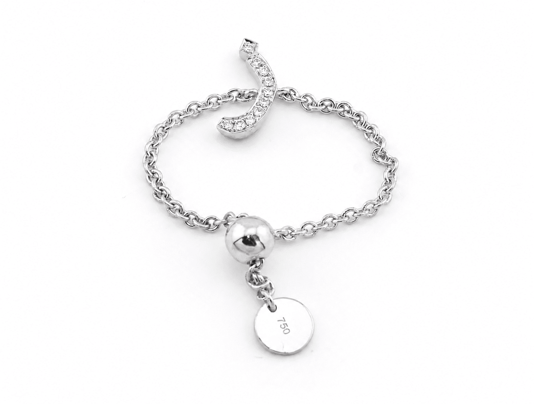 Adjustable Initial Chain Ring - HIBA JABER
