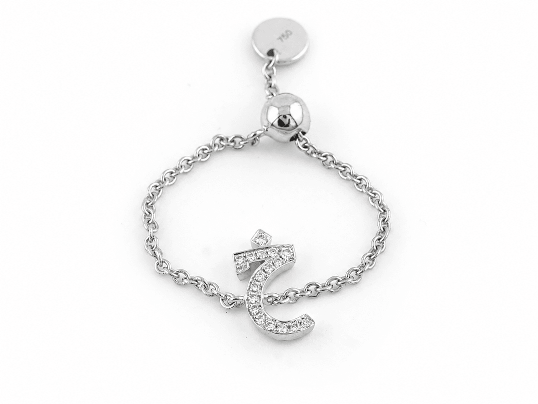 Adjustable Initial Chain Ring - HIBA JABER
