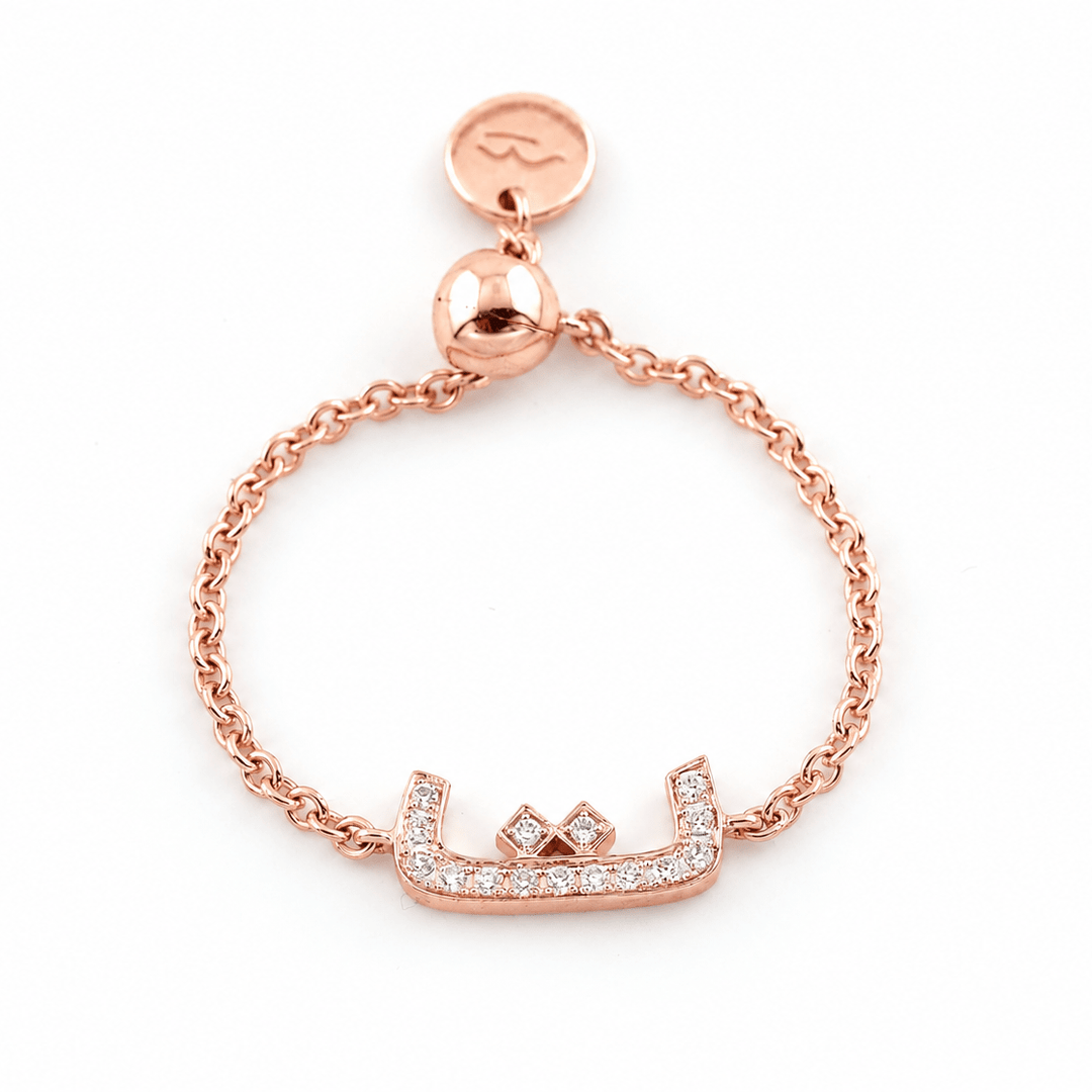 Adjustable Initial Chain Ring - HIBA JABER