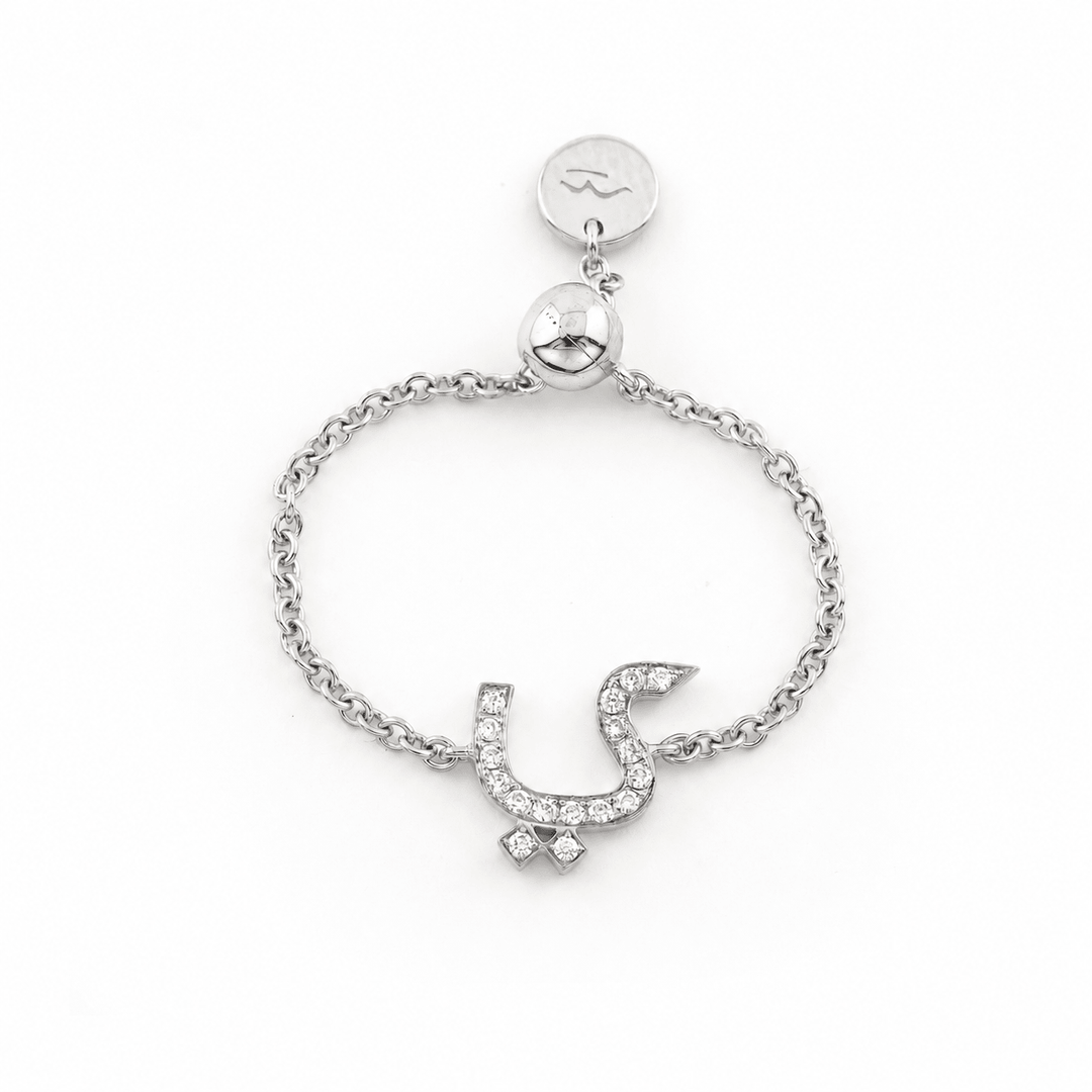 Adjustable Initial Chain Ring - HIBA JABER