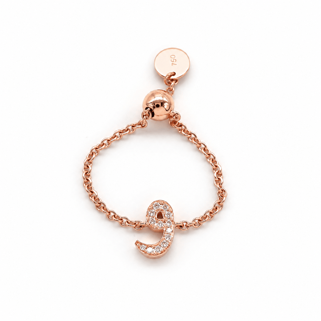 Adjustable Initial Chain Ring - HIBA JABER