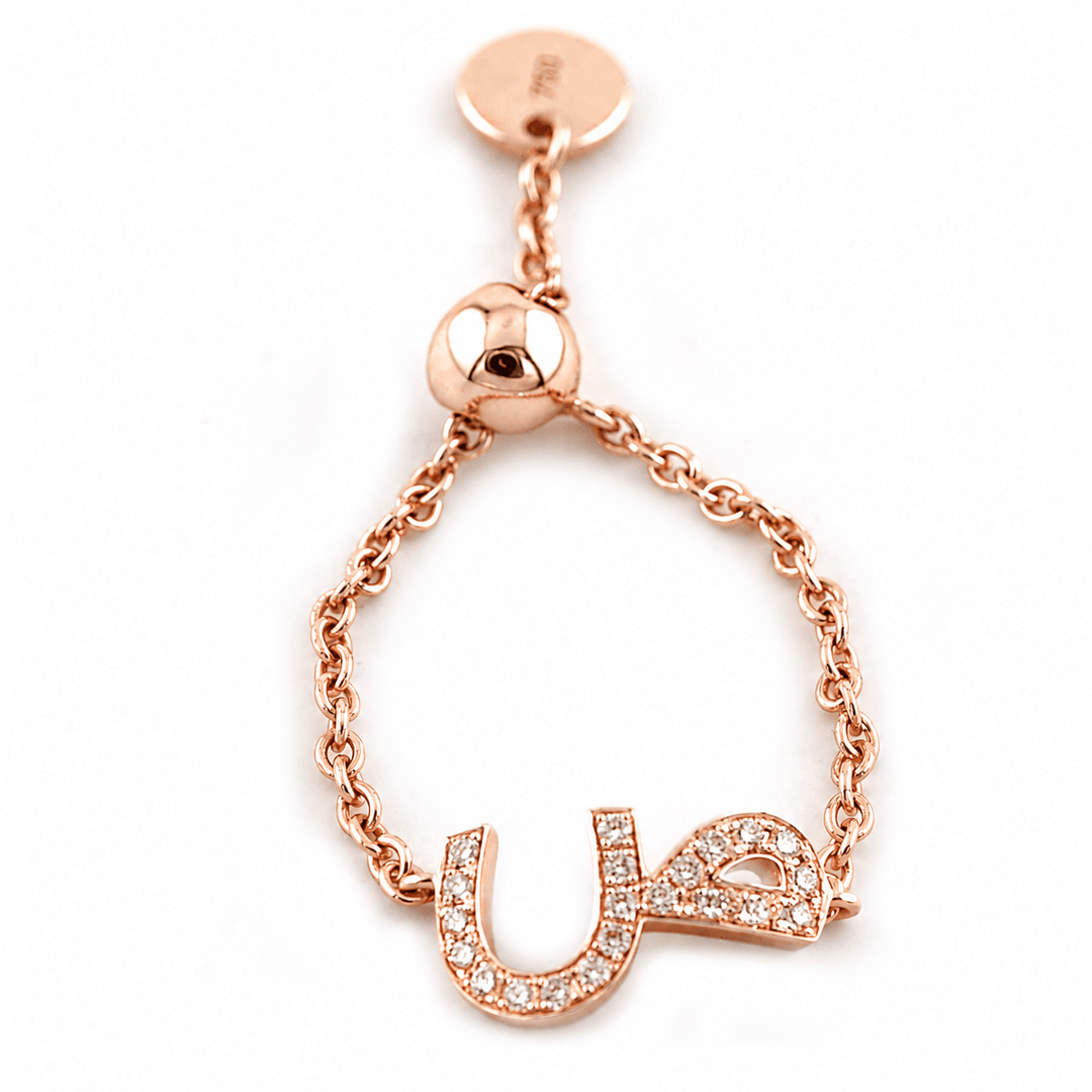 Adjustable Initial Chain Ring - HIBA JABER