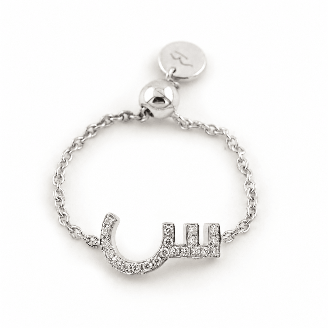 Adjustable Initial Chain Ring - HIBA JABER