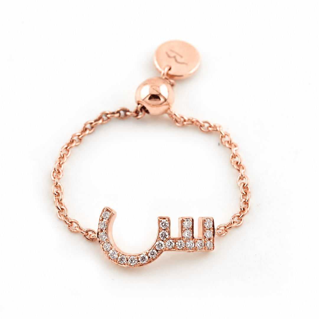 Adjustable Initial Chain Ring - HIBA JABER