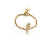 Adjustable Initial Chain Ring - HIBA JABER