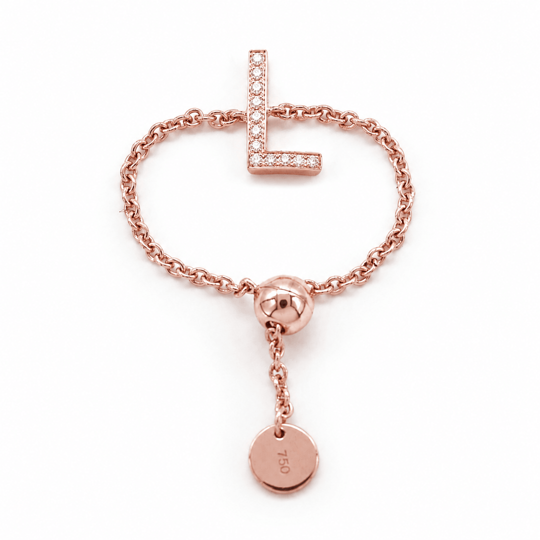 Adjustable Initial Chain Ring - HIBA JABER