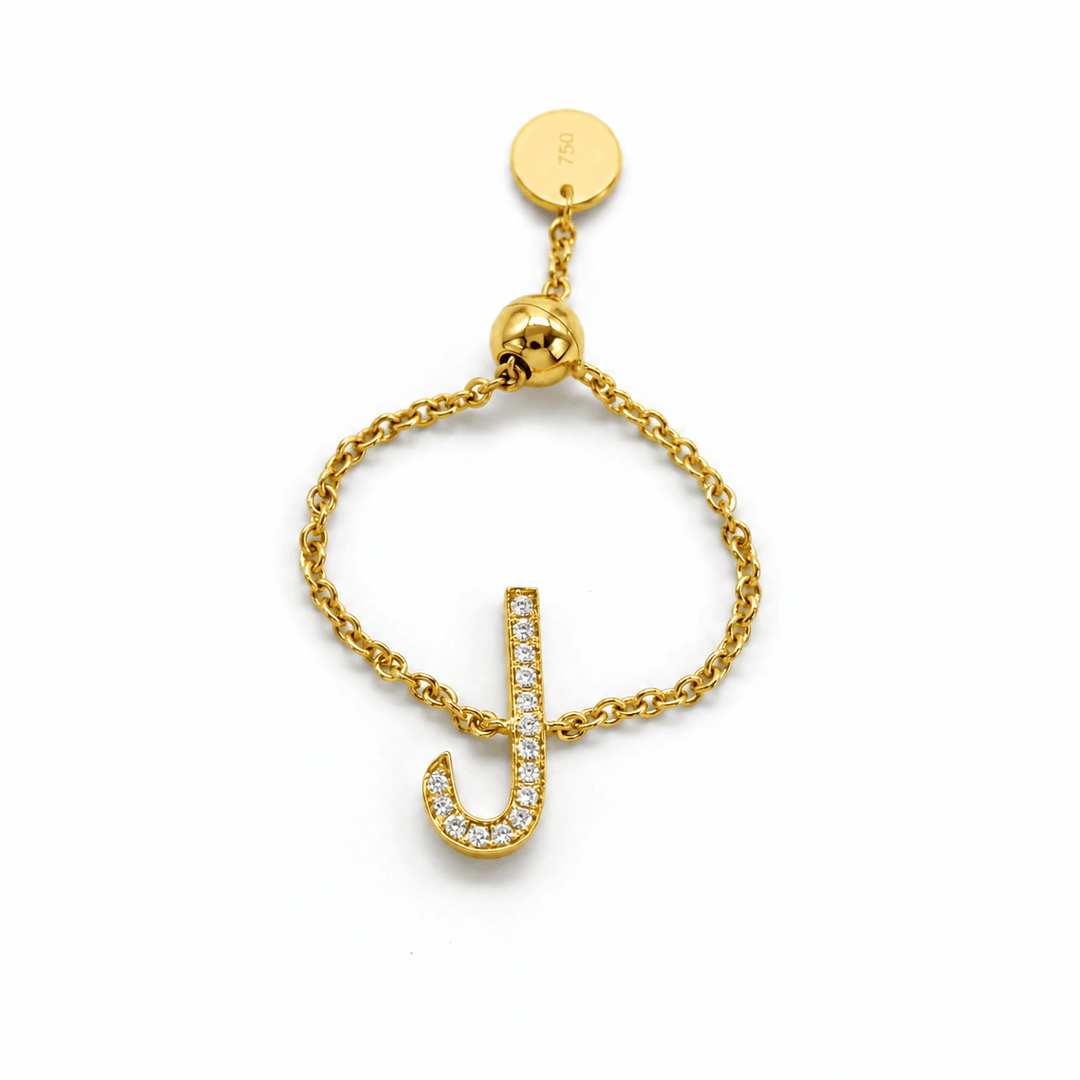 Adjustable Initial Chain Ring - HIBA JABER