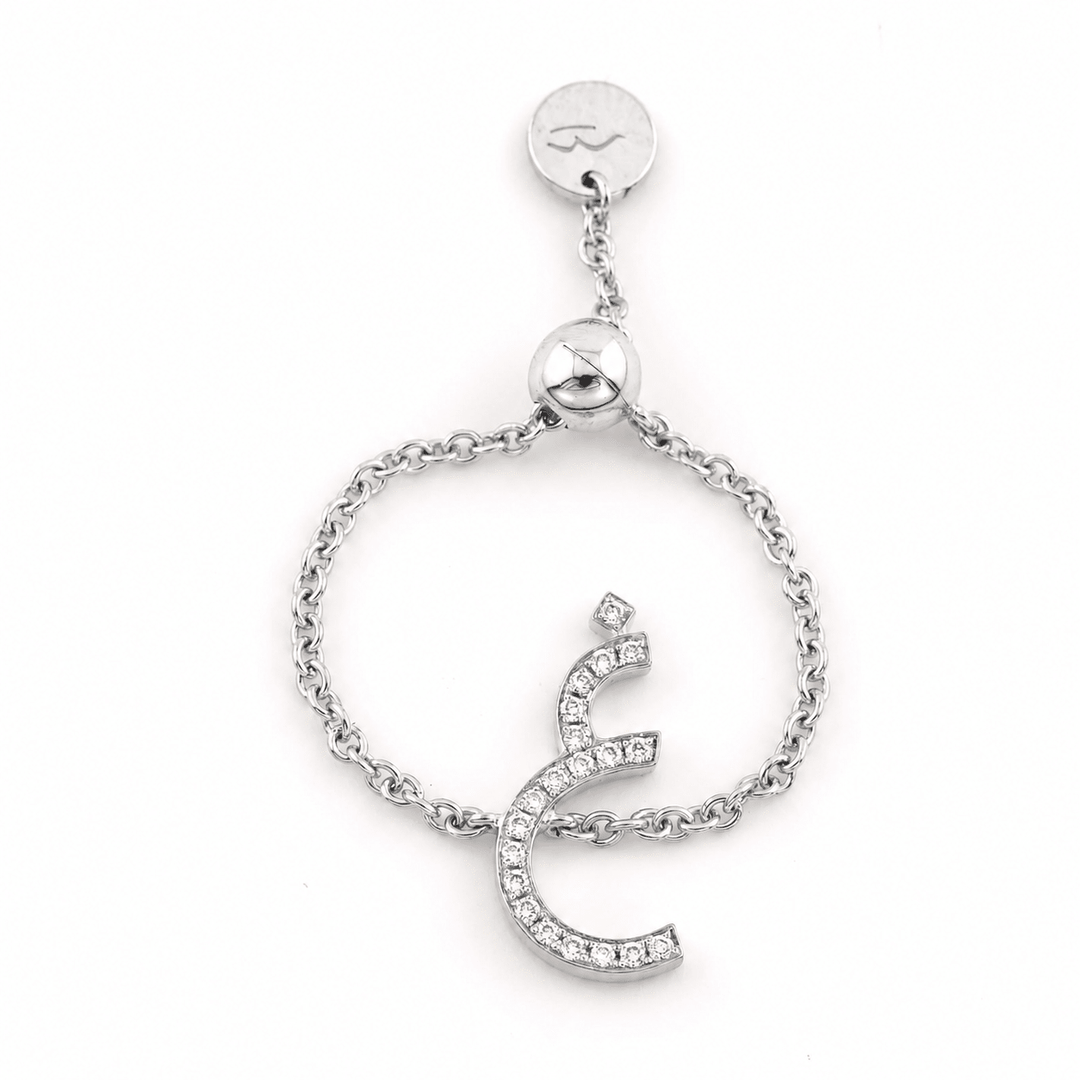 Adjustable Initial Chain Ring - HIBA JABER