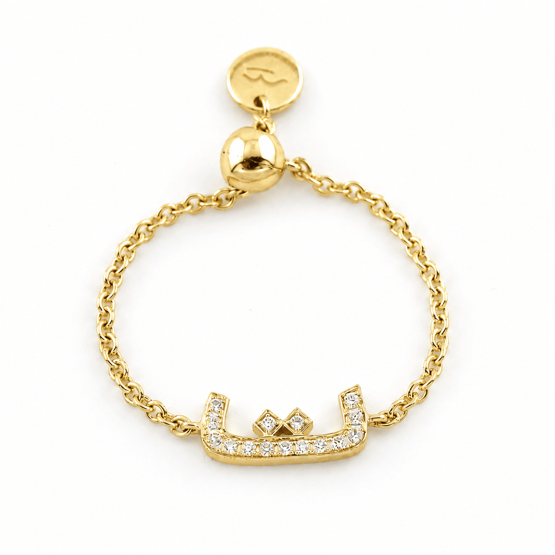 Adjustable Initial Chain Ring - HIBA JABER