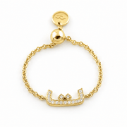 Adjustable Initial Chain Ring - HIBA JABER