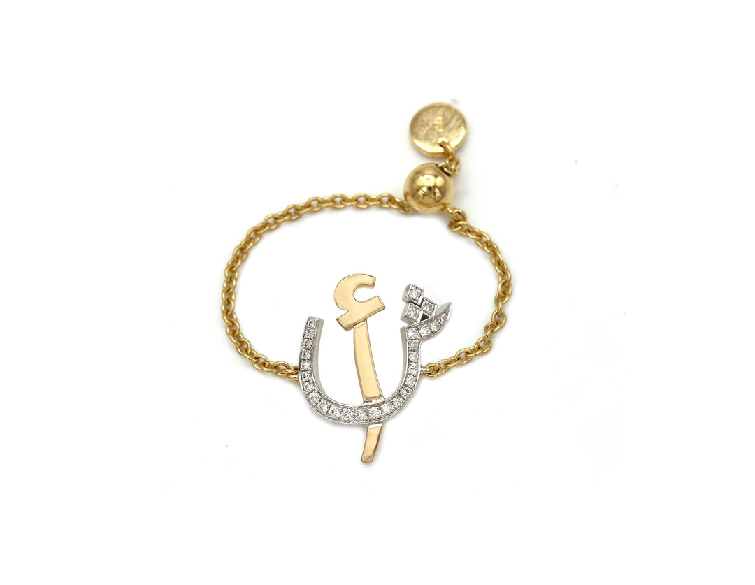 The Chain Ring