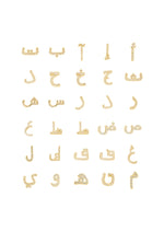 Load image into Gallery viewer, One Letter with a Solitaire Necklace - HIBA JABER