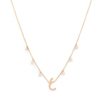 Load image into Gallery viewer, Plain Initial Hanging Necklace - HIBA JABER