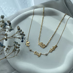 Load image into Gallery viewer, The Name Necklace - HIBA JABER
