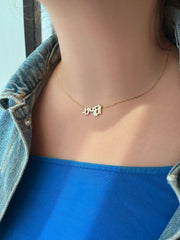 The Necklace - HIBA JABER