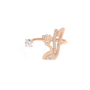 The Open Ring - HIBA JABER